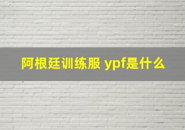 阿根廷训练服 ypf是什么